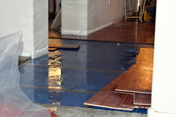 Professional Burst Pipe Cleanup technician working in Carteret, NJ